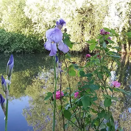 Les Haras Del Paradiso * Boitron (Orne)