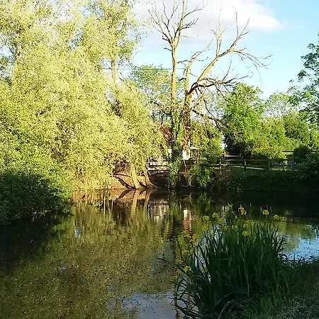 Les Haras Del Paradiso Boitron (Orne)