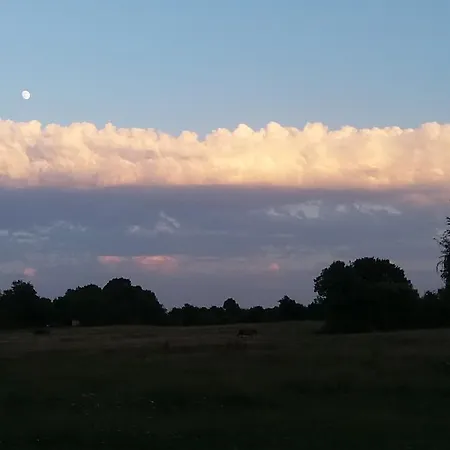 Les Haras Del Paradiso * Boitron (Orne)