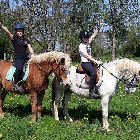 Les Haras Del Paradiso Lägenhet Boitron (Orne)