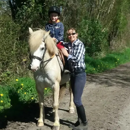 Les Haras Del Paradiso Lägenhet Boitron (Orne)