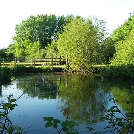Les Haras Del Paradiso * Boitron (Orne)