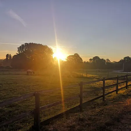 Les Haras Del Paradiso Apartamento Boitron (Orne)