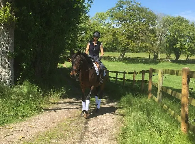 Les Haras Del Paradiso