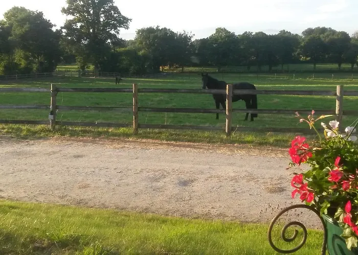 公寓 Les Haras Del Paradiso *