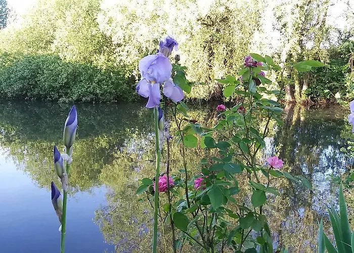 Les Haras Del Paradiso * Boitron (Orne)