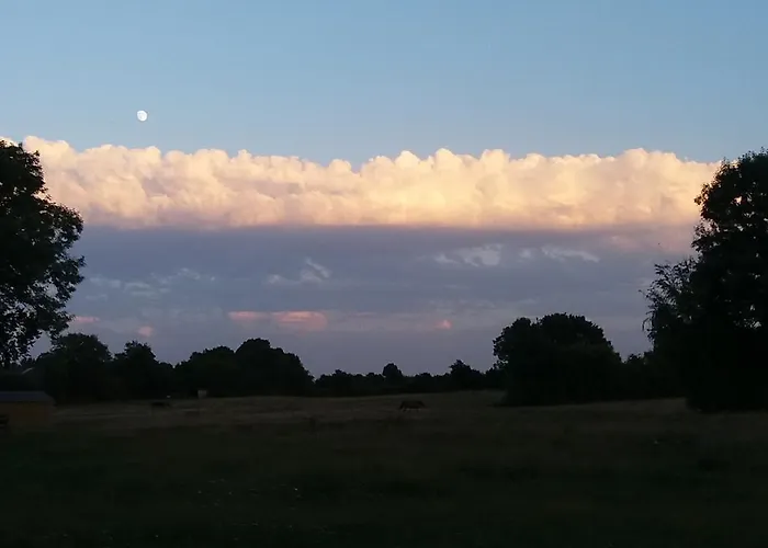Les Haras Del Paradiso * Boitron (Orne)