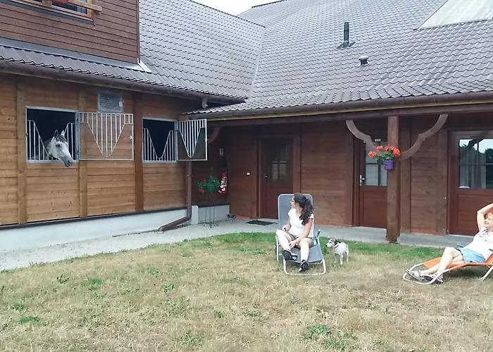 Les Haras Del Paradiso Boitron (Orne)