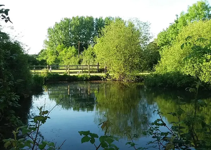 Les Haras Del Paradiso * Boitron (Orne)
