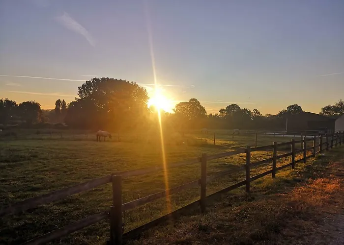 Les Haras Del Paradiso 公寓 Boitron (Orne)